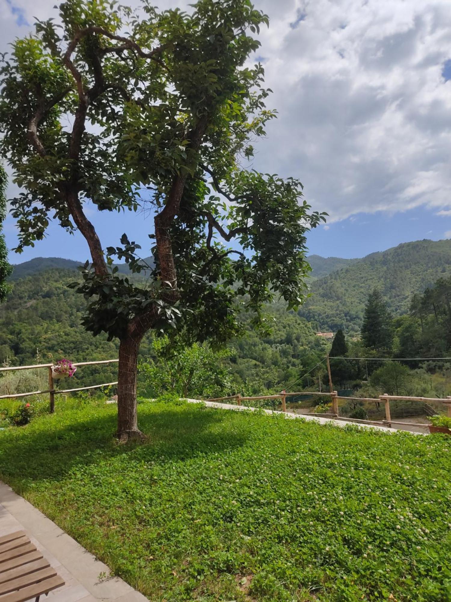 Agriturismo Torsivi Castiglione Chiavarese Exterior photo